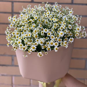 Blumenstrauß 'Versign'