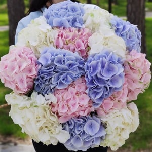 Blumenstrauß 'Wolke des Glücks'