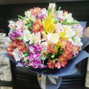Alstroemeria mix