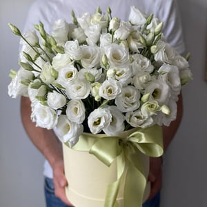 Blumenbox 'Chinese rose'