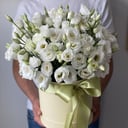 Blumenbox 'Chinese rose'