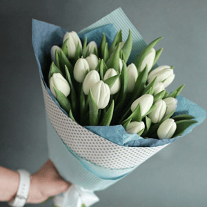 Bouquet of white tulips