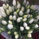 Bouquet 'Snowy tulips'