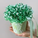 Arreglo floral 'lime bucket'