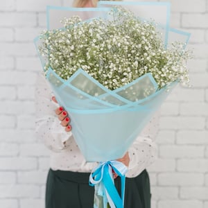 Ramo de gypsophila delicada