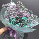 Bouquet of Gypsophila