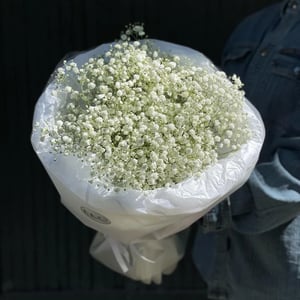 White Baby's Breath Bouquet