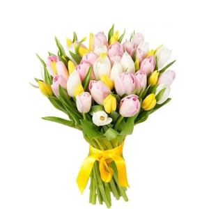 Bouquet of 25 tulips