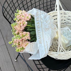 Ramo 'Bouquet of 19 mattiola'