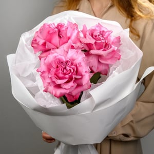 A bouquet of three pink Country Blues roses.