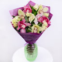 Rising star: 7 Orchids