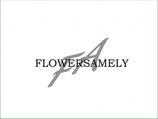Flauers Ameli
