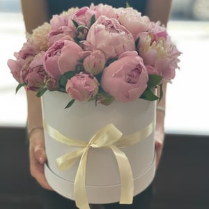 Arrangement 'Pleasantness'