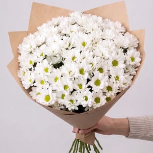 Bouquet of 25 white chrysanthemums, 50 cm long.