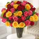 A bouquet of 51 multicolored roses