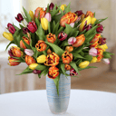 Bouquet '50 Tulips'