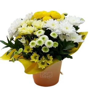Sunshine Blossom Flower Box