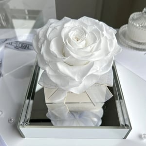 Weiße Infinity Herz-Rose im Acrylwürfel