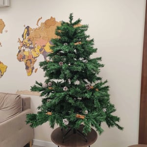 Spruce 'Forest Tale' with pine cones and cinnamon, 150 cm tall