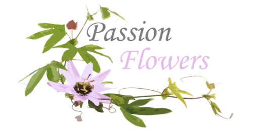 Passion flowers Barteczko