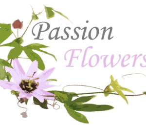 Passion flowers Barteczko