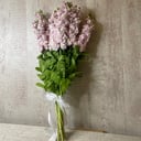 Ramo 'Rosa mattiola'