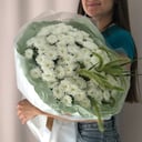 Ramo 'Mono de Crisantemos'