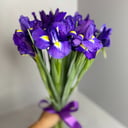Bouquet of Irises with a Ribbon