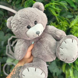 Teddy Grey