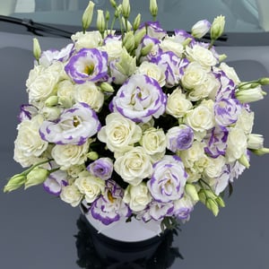 Arrangement 'Blue Lagoon'