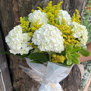 Bouquet 'Buquê de hortênsia'
