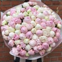 Blumenstrauß aus 101 duftenden Pfingstrosen "Elsa"