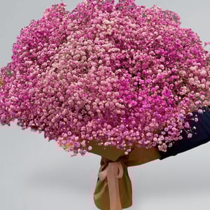 Blumenstrauß 'Strauß aus Schleierkraut'