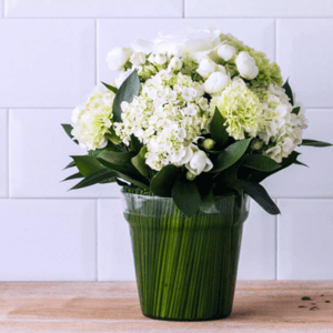 Bouquet 'Splendore - Juana Martinez'