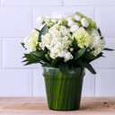 Bouquet 'Splendore - Juana Martinez'