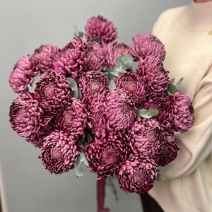 Blumenstrauß 'Chrysantheme 'Bigudi' - 25 Stiele mit Eukalyptus'