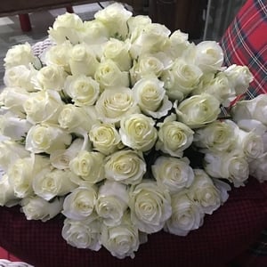 Bouquet 'Fabulous whiteness'