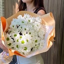 Bouquet of chrysanthemums Maxi