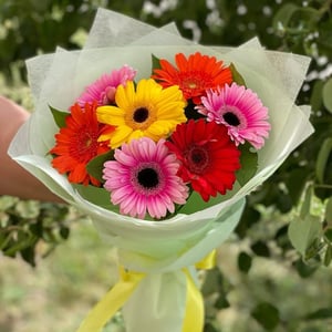 Blumenstrauß 'Gerbera mix'