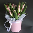 Tulips in a Hat Box