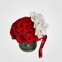 Blumenbox 'Rote Rosen und Cymbidium-Box'
