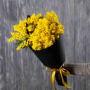Blumenstrauß 'Mimosa'