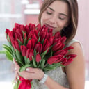 Bouquet of 51 red tulips