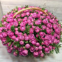 Flower basket 'Misty Bubbles'