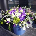 Blumenbox 'Schönheitsperle'