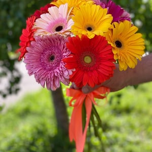 Ramo '9 Gerbera mix'