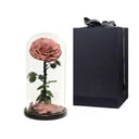 Blumenbox 'Glaskuppelvase mit einer Karamellrose'