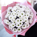 Ramo 'Bouquet of white daisies'
