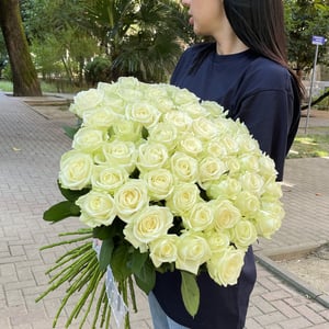 55 white roses