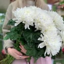 Blumenstrauß 'Ice cream balls'